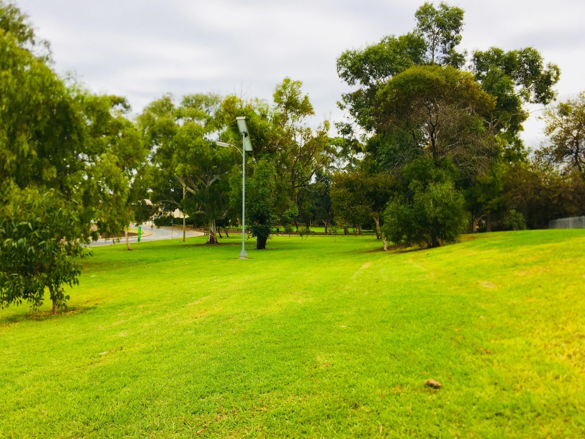 Hessing Crescent Reserve | Parks | City of Marion