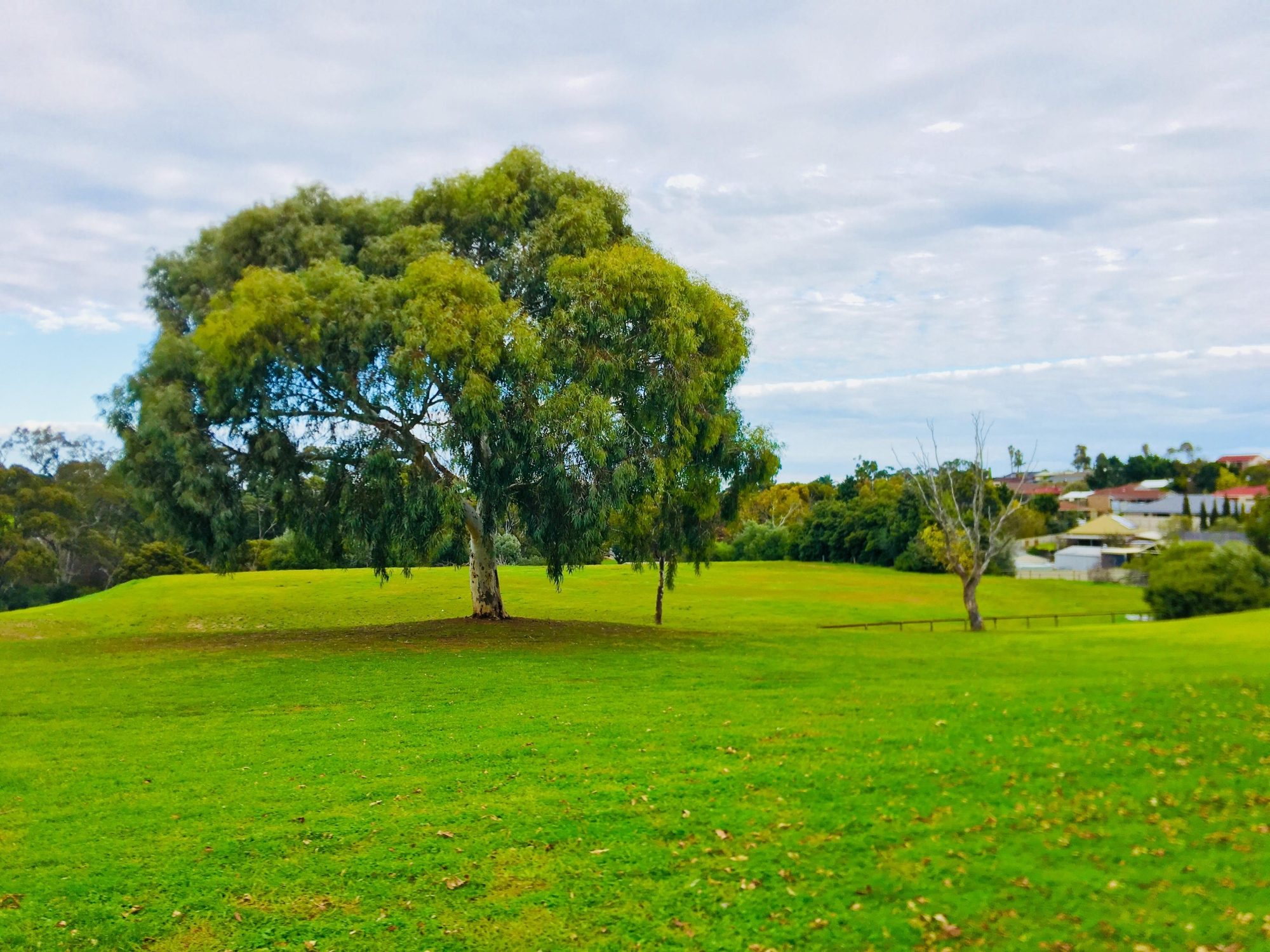 Hessing Crescent Reserve | Parks | City of Marion
