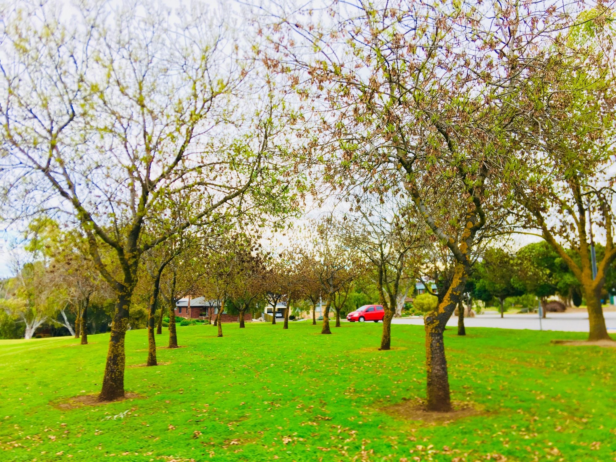 Hessing Crescent Reserve | Parks | City of Marion