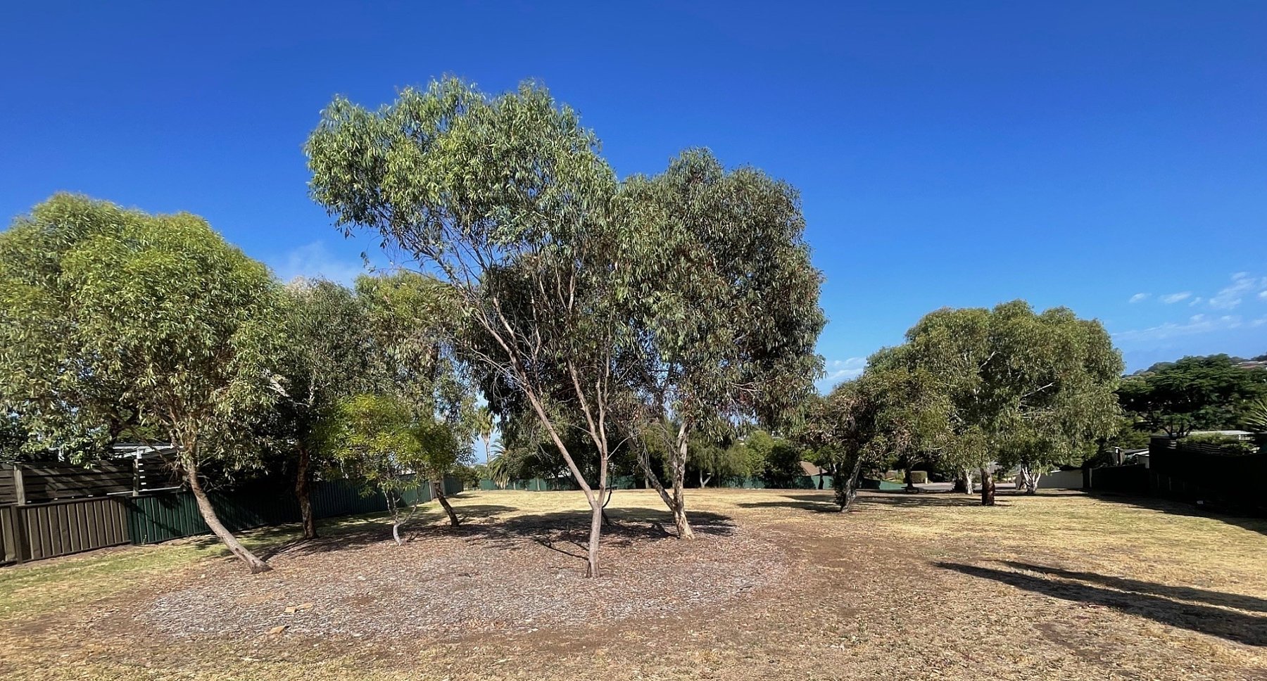French Crescent Reserve | Parks | City of Marion