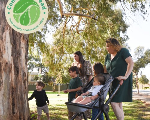 The heat is on: protecting trees and cooling our city | Common Thread ...