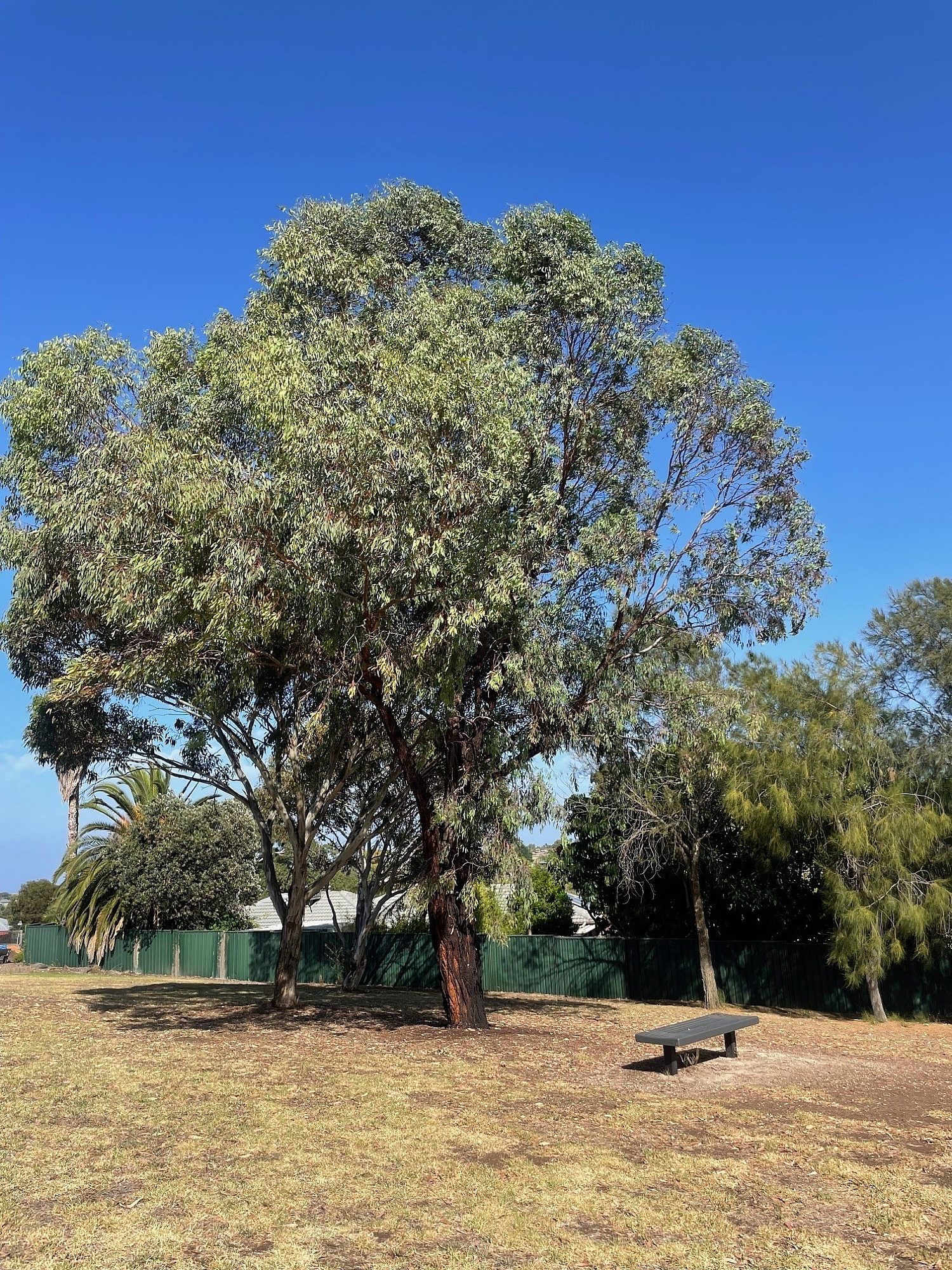 French Crescent Reserve | Parks | City of Marion